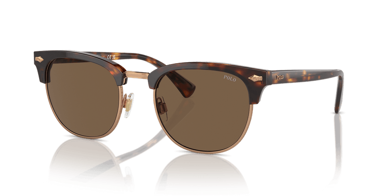 Polo Ralph Lauren PH4217 in Shiny Brown Tortoise - Alternate View