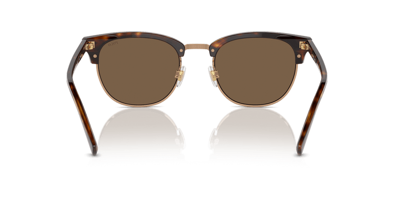 Polo Ralph Lauren PH4217 in Shiny Brown Tortoise - Alternate View