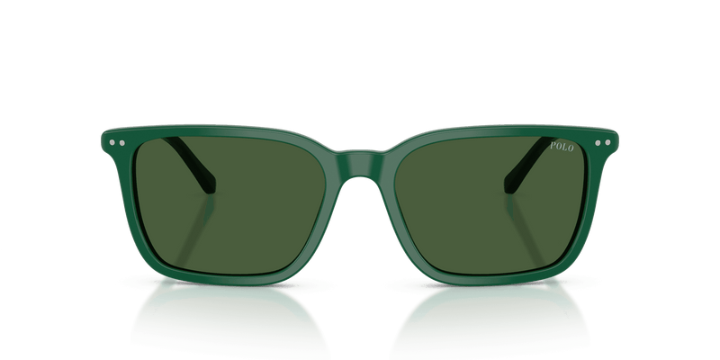 Polo Ralph Lauren PH4226 in Shiny Green / Bottle Green (542171) - Alternate View