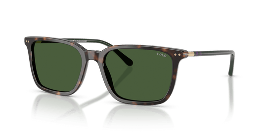 Polo Ralph Lauren PH4226 - Shiny Dark Havana / Bottle Green (567371)