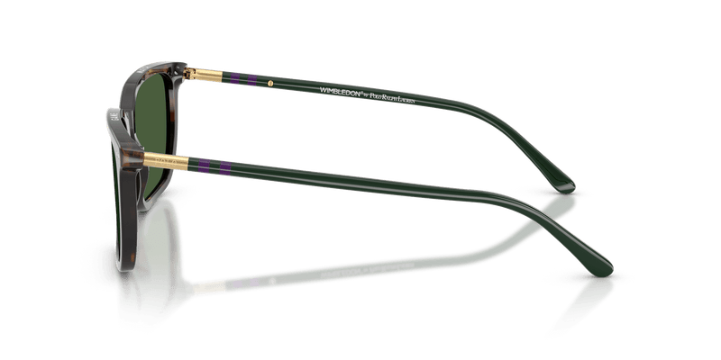 Polo Ralph Lauren PH4226 in Shiny Dark Havana / Bottle Green (567371) - Temple Detail