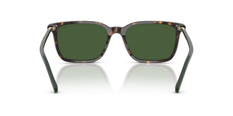 Polo Ralph Lauren PH4226 in Shiny Dark Havana / Bottle Green (567371) - Alternate View