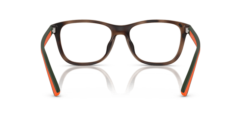 Polo Ralph Lauren PH4228U in Matte Dark Havana / Bottle Green - Alternate View