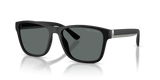 Matte Black / Polarized Dark Grey (500181)
