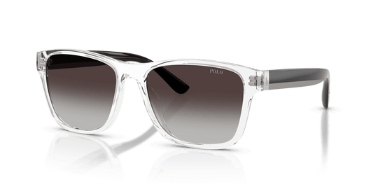 Shiny Crystal / Grey Gradient (58698G)