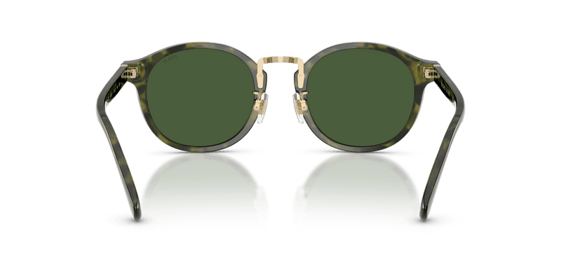 Polo Ralph Lauren PH4230 in Shiny Green Havana / Bottle Green - Alternate View