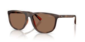 Matte Dark Havana / Dark Brown