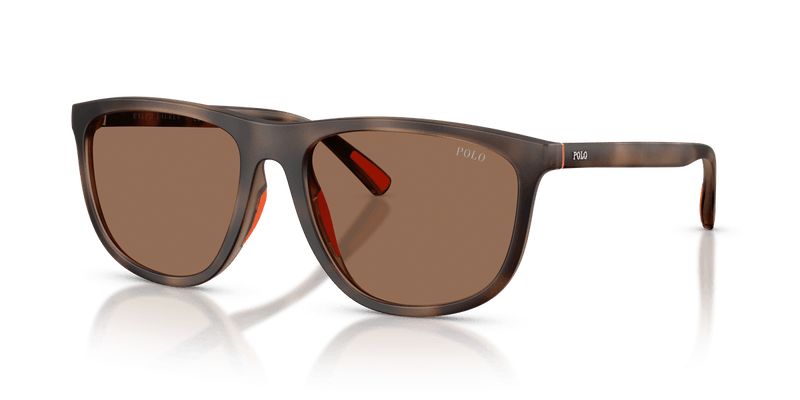 Polo Ralph Lauren PH4231U in Matte Dark Havana / Dark Brown - Alternate View