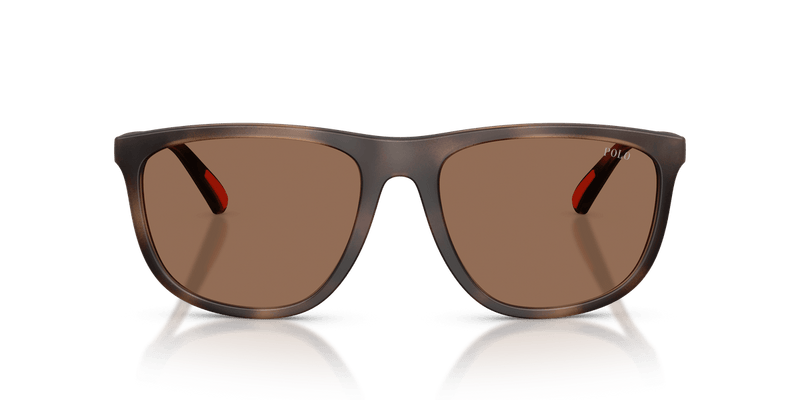 Polo Ralph Lauren PH4231U in Matte Dark Havana / Dark Brown - Alternate View