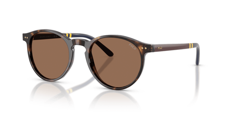 Polo Ralph Lauren PH4236 in Shiny Dark Havana / Brown (500373) - Front View