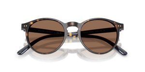 Shiny Dark Havana / Brown (500373)