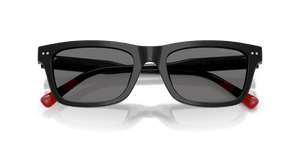 Shiny Black / Polarized Dark Grey (500181)