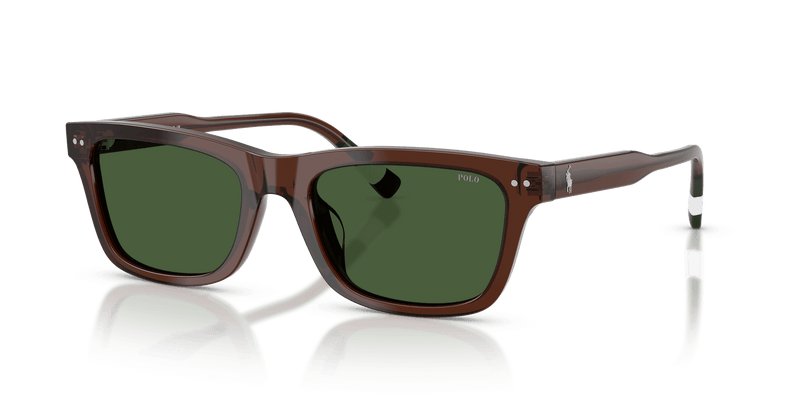 Polo Ralph Lauren PH4240U in Shiny Transparent Brown / Dark Green (631571) - Alternate View