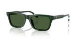 Shiny Green / Dark Green (631671)