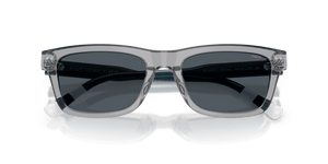 Shiny Transparent Grey / Dark Grey (631787)