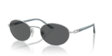 Silver / Dark Grey