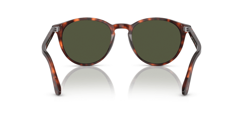 Persol PO3152S in Havana / Green - Back View