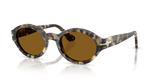 Brown Tortoise / Brown (107133)