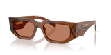 Dark Brown Transparent / Brown (20H90Q)