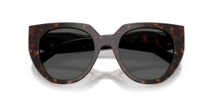 Root Tortoise / Dark Grey (17N40L)