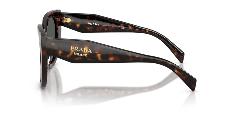 Prada PR 14WS in Root Tortoise / Dark Grey (17N40L) - Front View