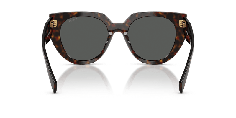 Prada PR 14WS in Root Tortoise / Dark Grey (17N40L) - Front View