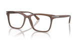 Brown Transparent (17O1O1)