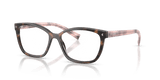 Mauve Tortoise (23A1O1)