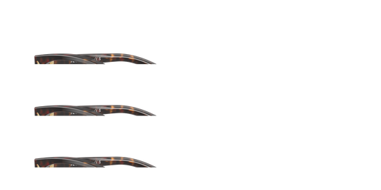 Root Tortoise (17N1O1)