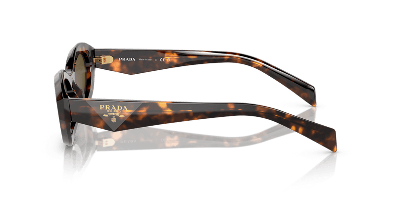Prada PR 26ZS in Honey Tortoise / Dark Brown (14L09Z) - Alternate View