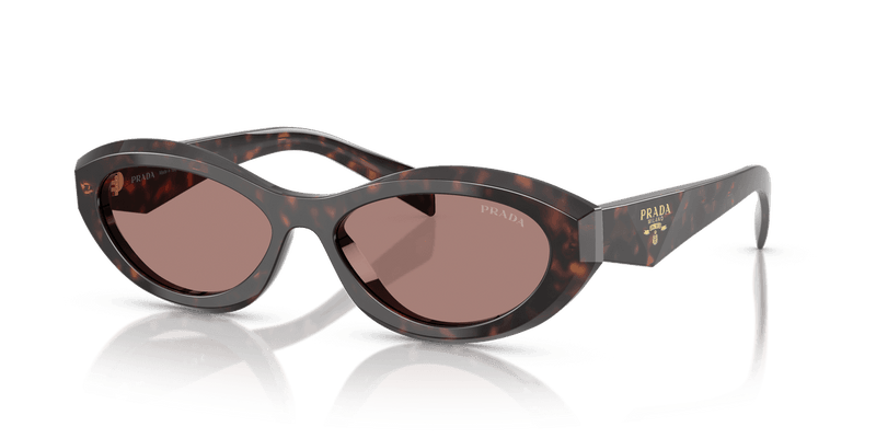 Prada PR 26ZS in Root Tortoise / Light Brown (17N60B) - Alternate View