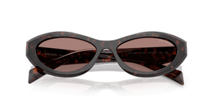 Root Tortoise / Light Brown (17N60B)