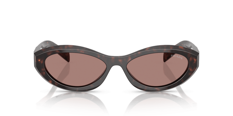 Prada PR 26ZS in Root Tortoise / Light Brown (17N60B) - Alternate View