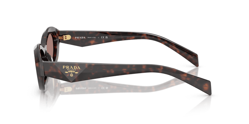 Prada PR 26ZS in Root Tortoise / Light Brown (17N60B) - Alternate View