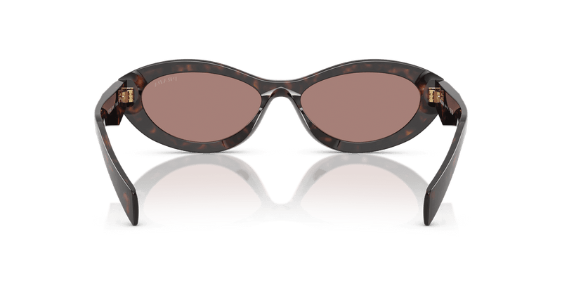 Prada PR 26ZS in Root Tortoise / Light Brown (17N60B) - Alternate View