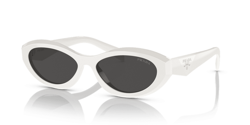 Prada PR 26ZS in Talc / Dark Grey (17K08Z) - Alternate View