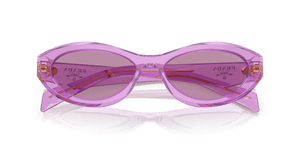 Transparent Amethyst / Dark Violet Mirror Silver Int (13R07Q)
