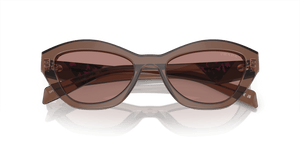 Brown Transparent / Light Brown (17O60B)
