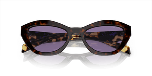 Havana / Violet Mirror Internal Silver (17N50B)