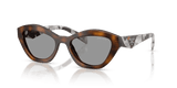 Juniper Tortoise / Grey (20D50Q)