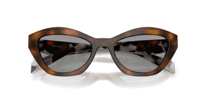 Juniper Tortoise / Grey (20D50Q)