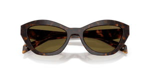 Root Tortoise / Dark Brown (17N09Z)