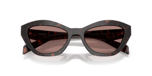 Root Tortoise / Light Brown (17N60B)