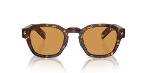 Magma Tortoise / Light Brown Photo (14O60F)