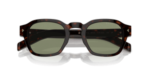 Radica Tortoise / Polarized Green (17N20G)
