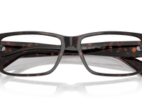 Root Havana (17N1O1)