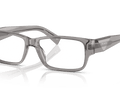 Transparent Grey (16Z1O1)
