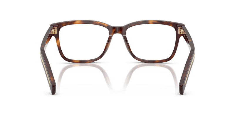Prada PR B10V in Havana (15W1O1) - Alternate View