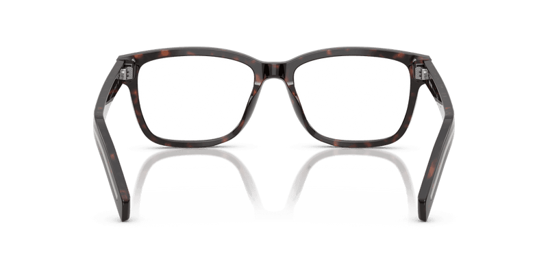 Prada PR B10V in Root Havana (17N1O1) - Alternate View