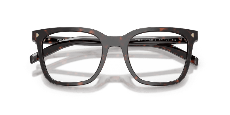 Prada PR B11VF in Root Tortoise (17N1O1) - Alternate View